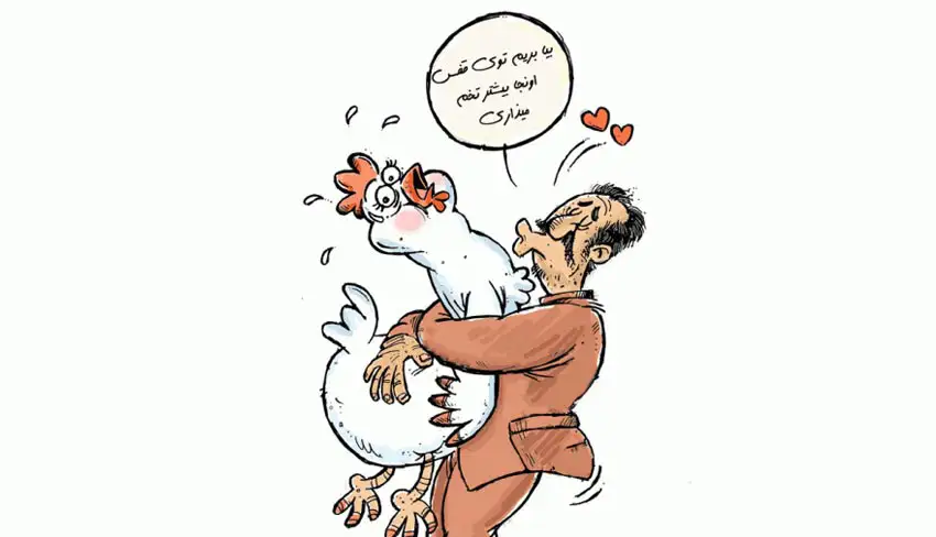 پرورش مرغ تخمگذار در قفس یا بستر