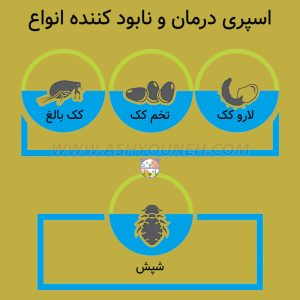 اسپری ضد کک و کنه بایر