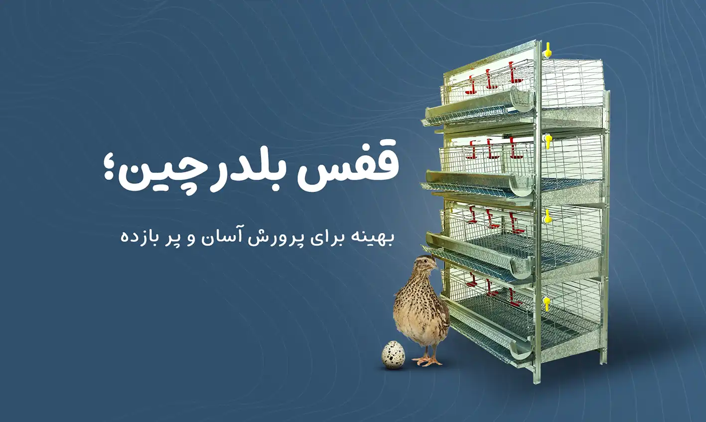 آشیونه قفس بلدرچین