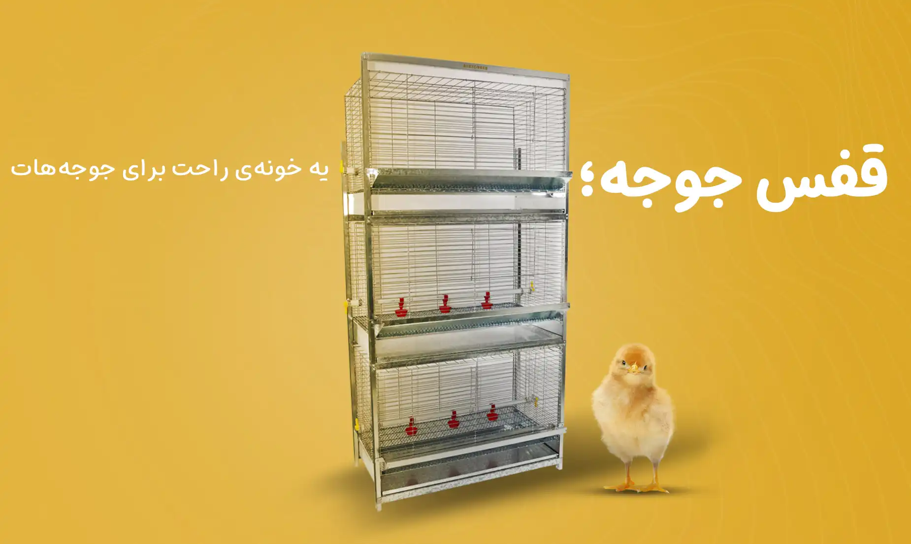 آشیونه قفس جوجه