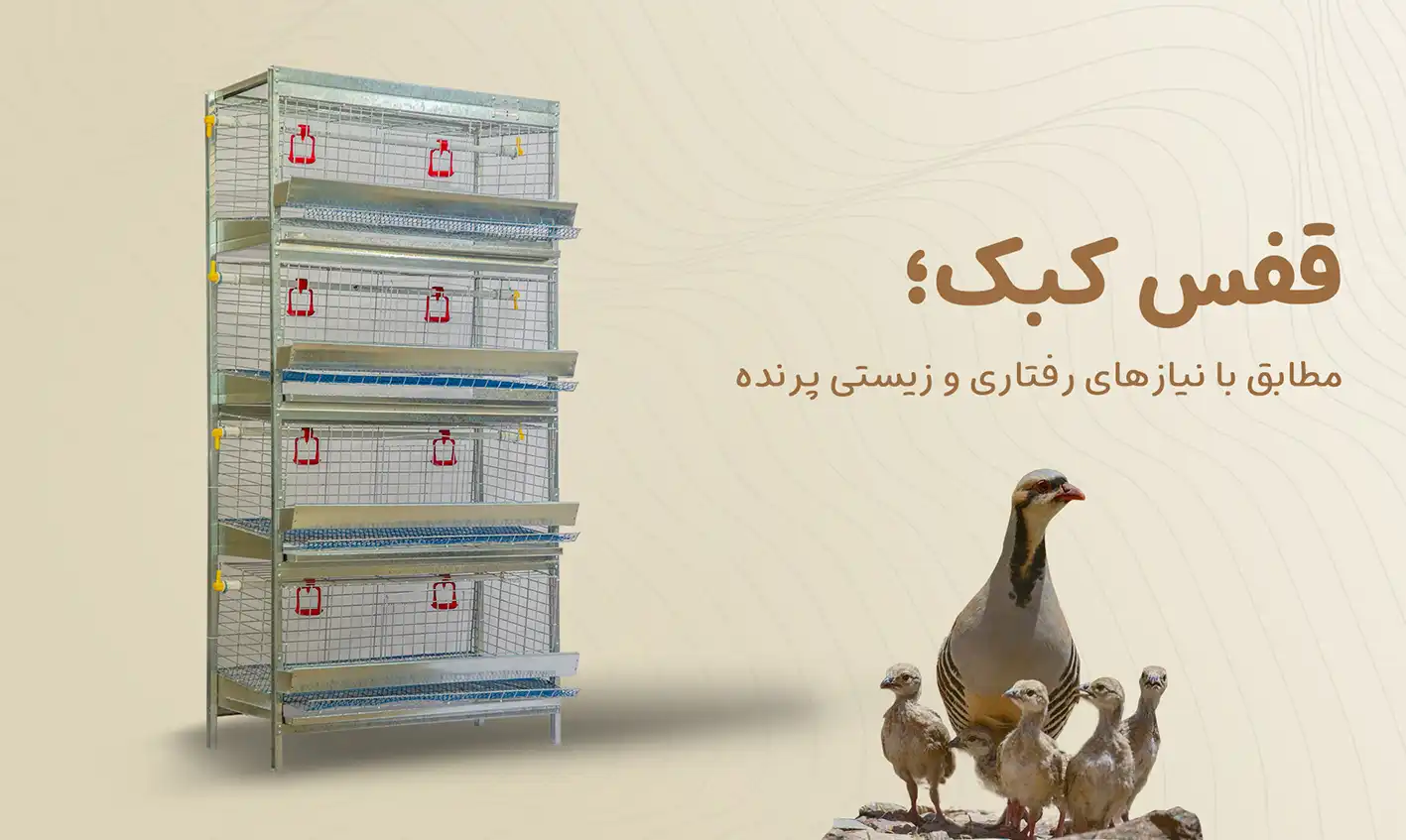 آشیونه قفس کبک