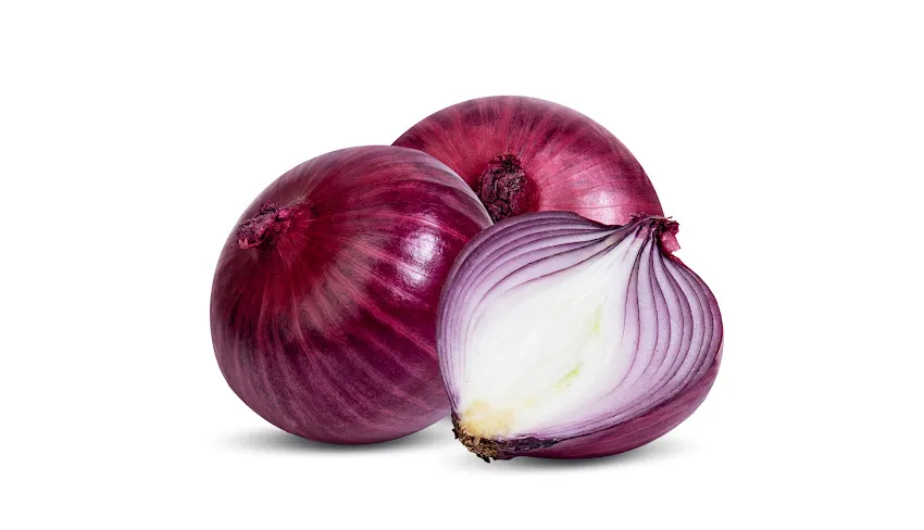 تغذیه جوجه بومی در خانه