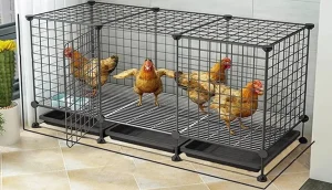 راهنمای خرید قفس مرغ