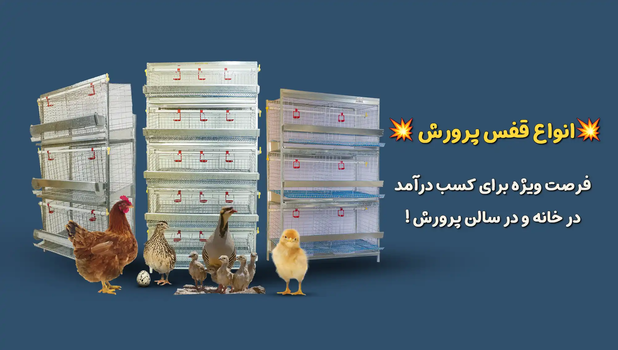قفس آشیونه